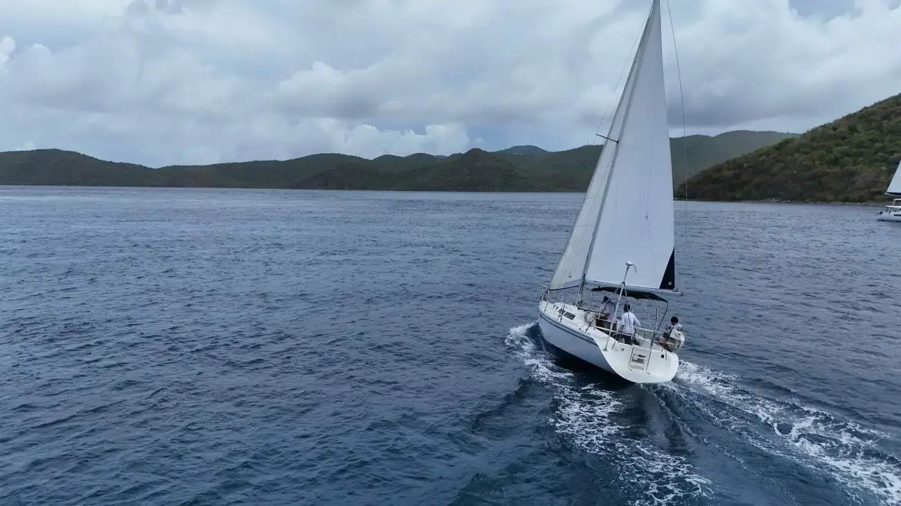 Catalina 320