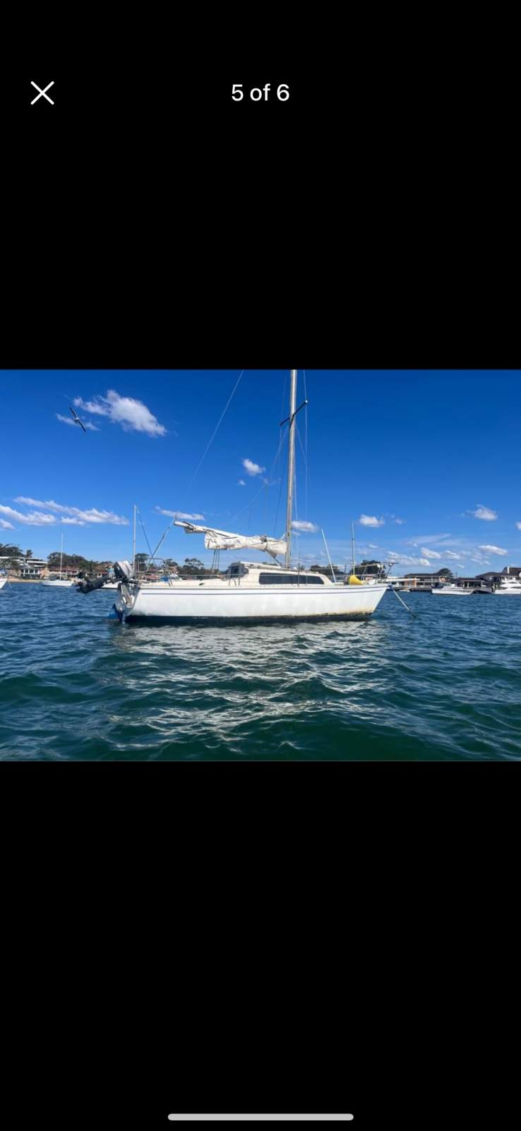 Southern Cross 23