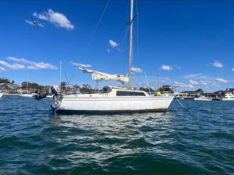Southern Cross 23