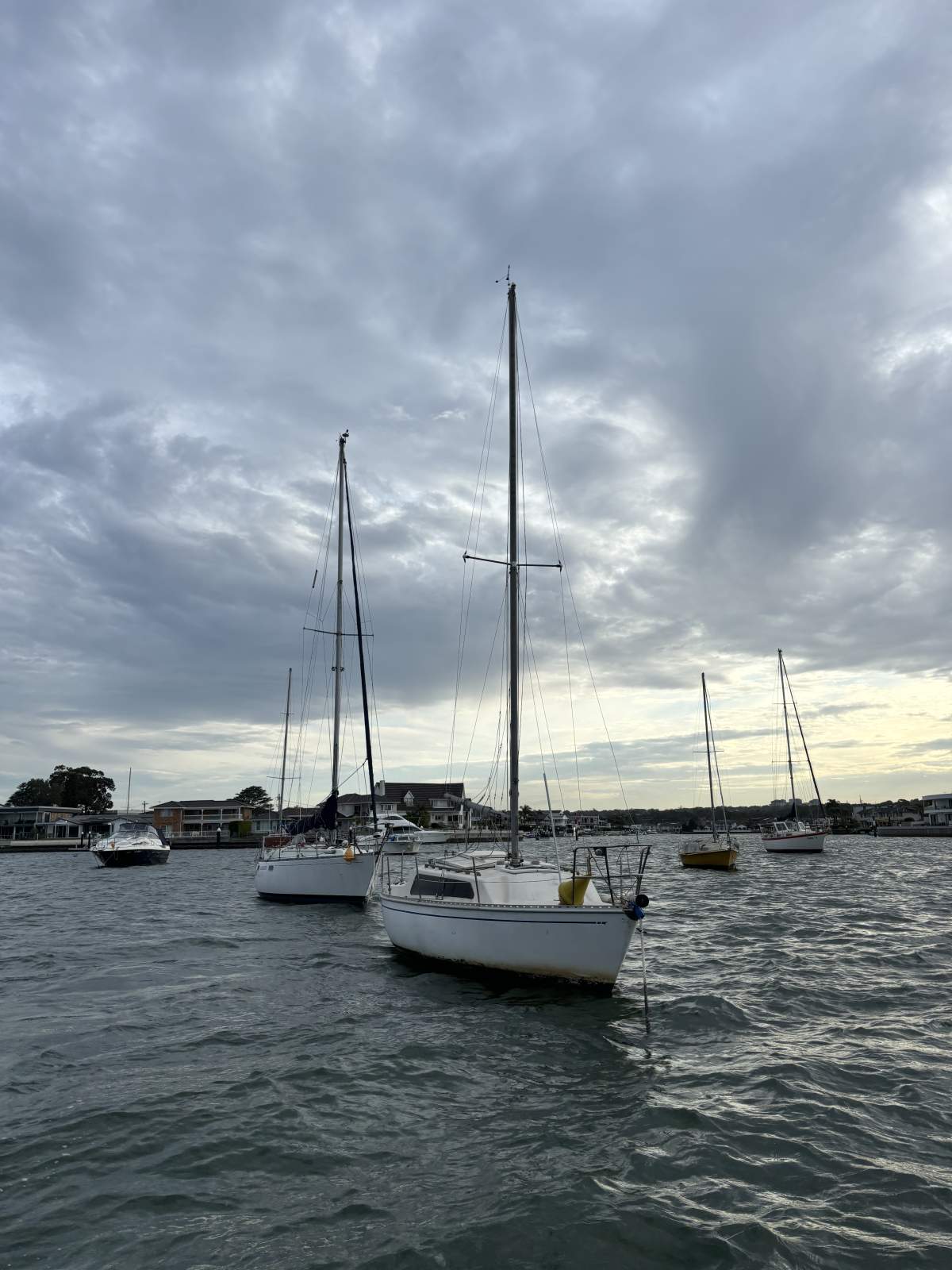 Southern Cross 23