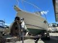 Southwind SF550 WR Platinum Series with Yamaha 115HP 4 Stroke