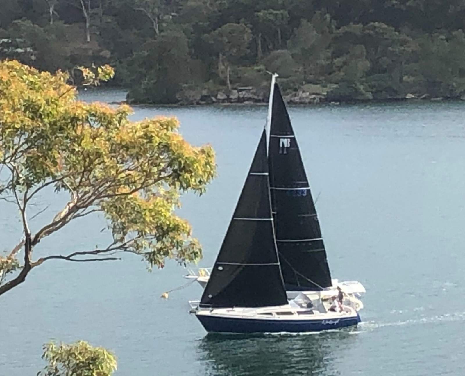 Northshore 33:With No 1 foresail