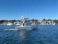 Caribbean 35 Flybridge Cruiser Diesel powered shaft driven