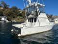 Caribbean 35 Flybridge Cruiser Diesel powered shaft driven