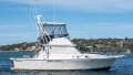 Caribbean 35 Flybridge Cruiser Diesel powered shaft driven