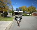 Chaparral 270 Signature *** TRAILER INCLUDED *** $ 75,000 ***