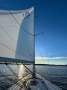 Bavaria 42 Cruising Yacht