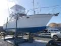 Gulfstream 32 - Tutukaka Marina Berth Included