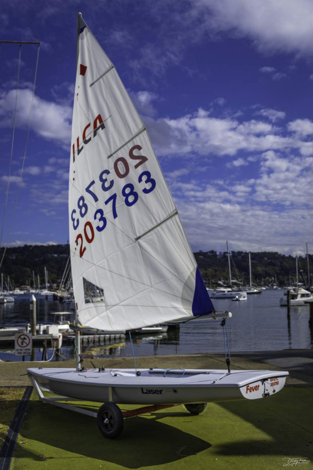Laser Radial