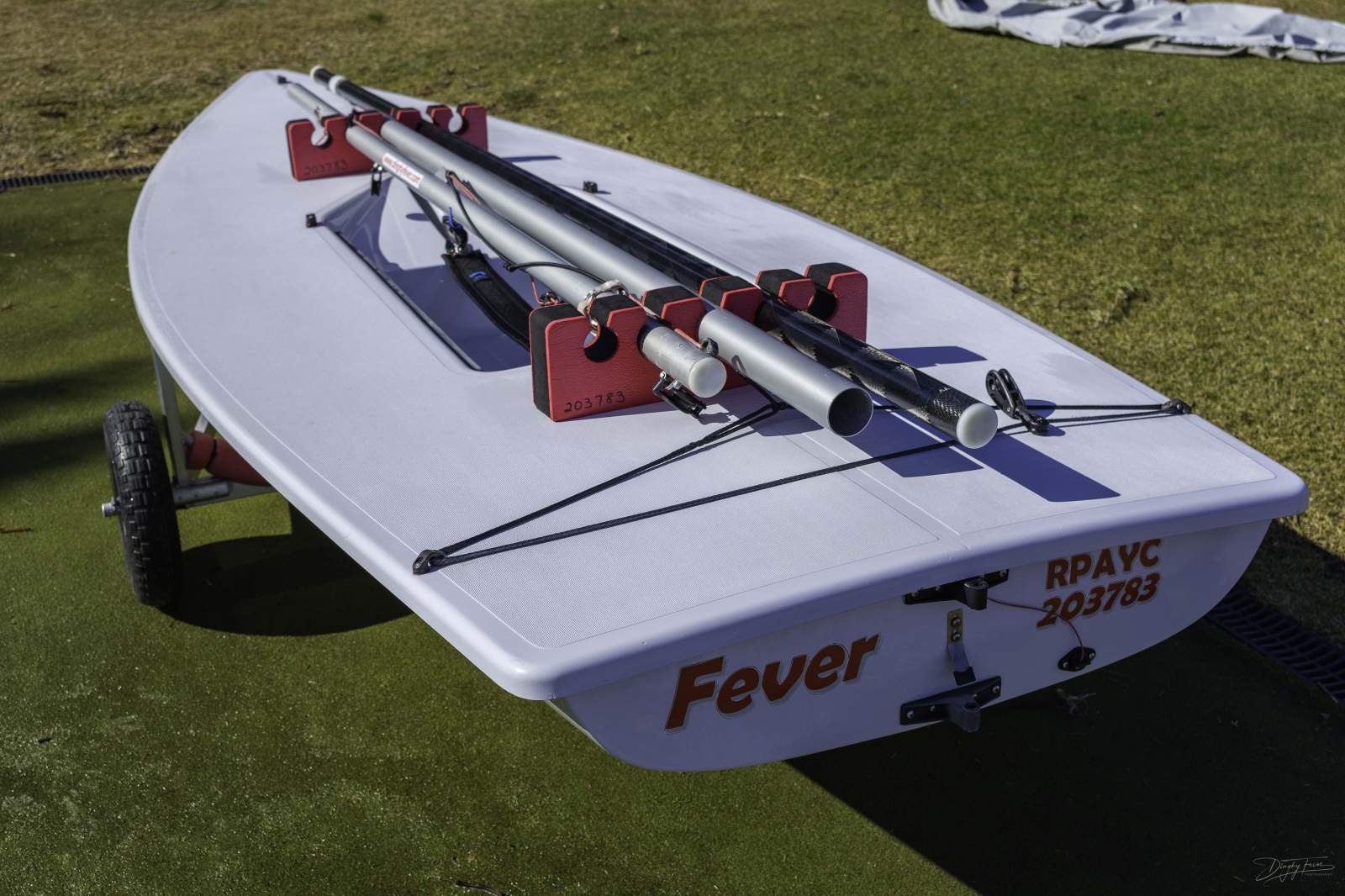 Laser Radial
