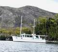 Millkraft 47 Bridgedeck Cruiser