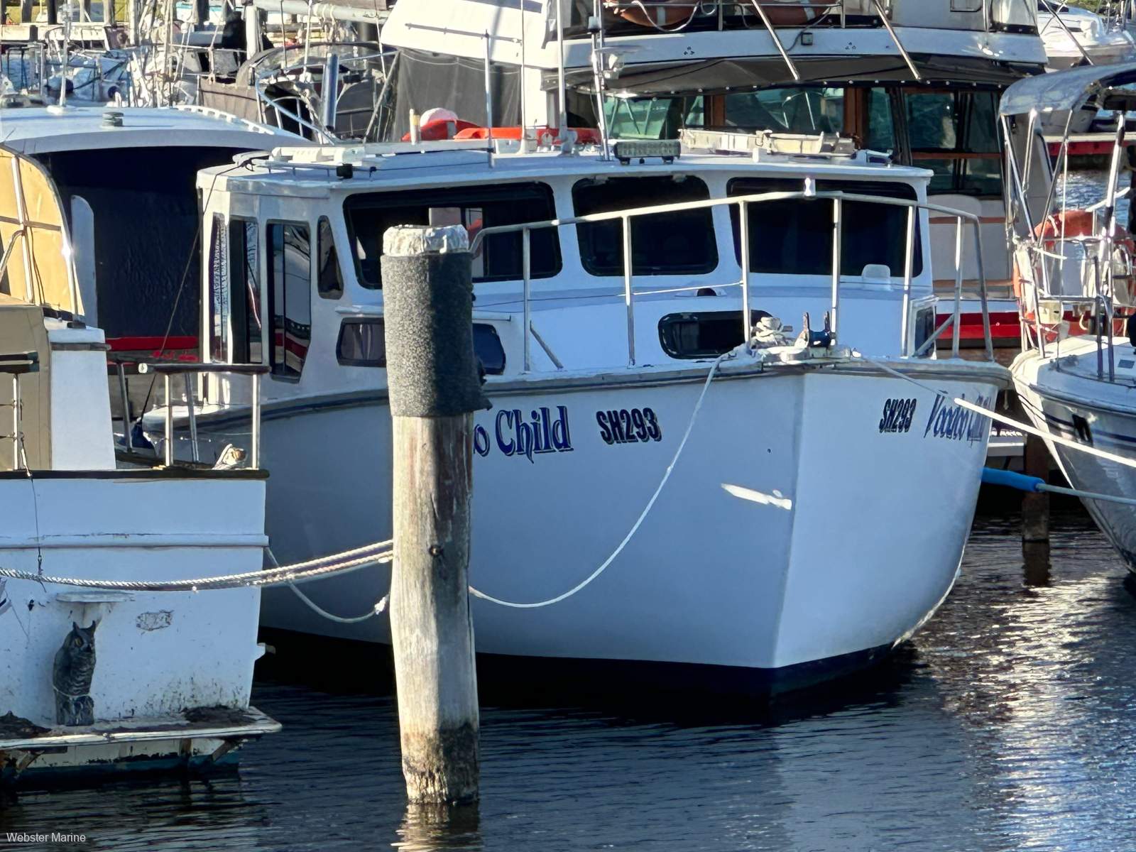 Mangrove Jack 28 Sedan Cruiser