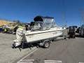 Voyager Ltd MK1 Evinrude 115Hp Ho Etec 984hrs