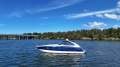 Cobalt 360 Performance Cruiser