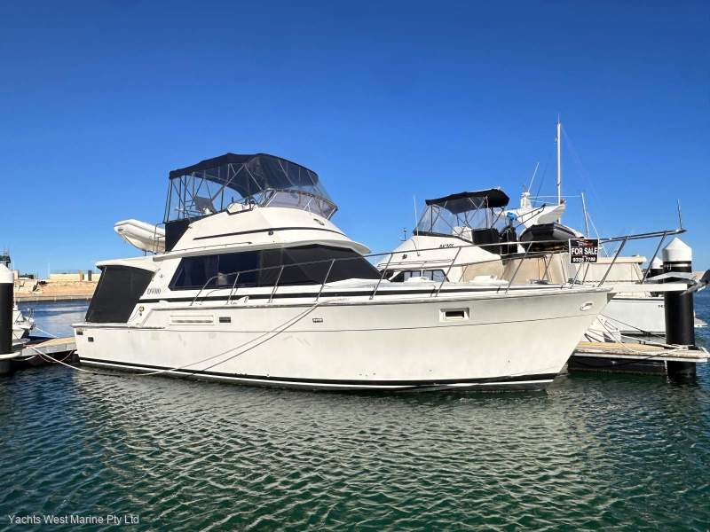 Bertram Caribbean 42 " PORT COOGEE BERTH "