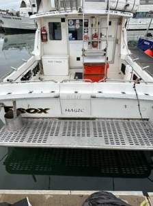 Norcat Challenger 1100 Flybridge 2C & 2D in survey