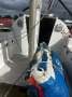 Custom Trailer Sailer