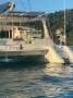 Maxim 380:Tender Davits with solar panel. Bench vice ( zoom in above the cat) is handy for repairs I