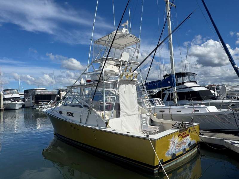 Pirate 34 Sportfish Game Boat