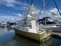 Pirate 34 Sportfish Game Boat