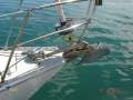 Phantom 33 Sloop