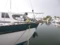 Swanson 42
