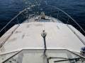 Coronet 30 Ft European Express Cruiser (Sydney Harbour)