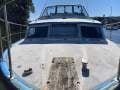 Coronet 30 Ft European Express Cruiser (Sydney Harbour)