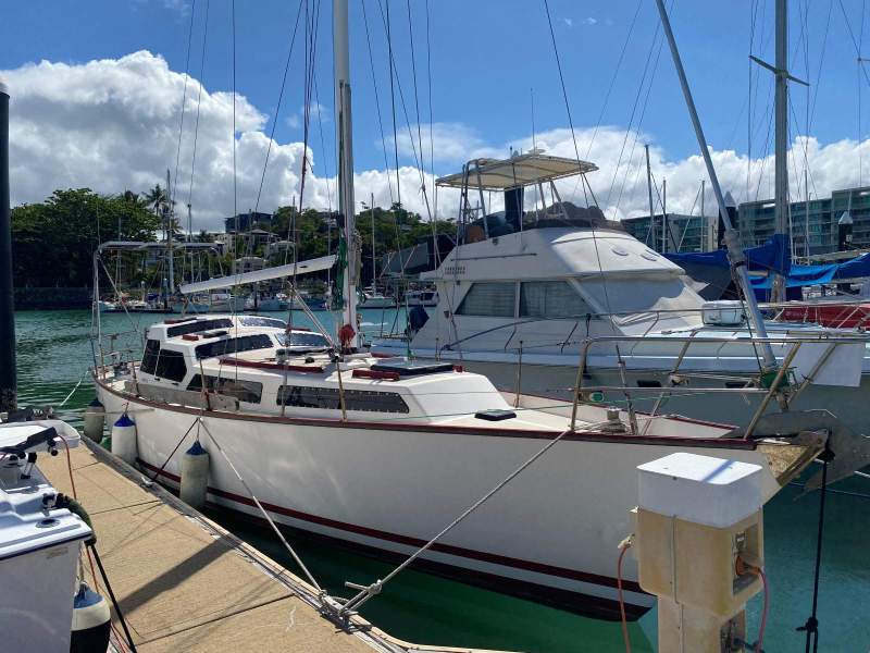 Adams 36