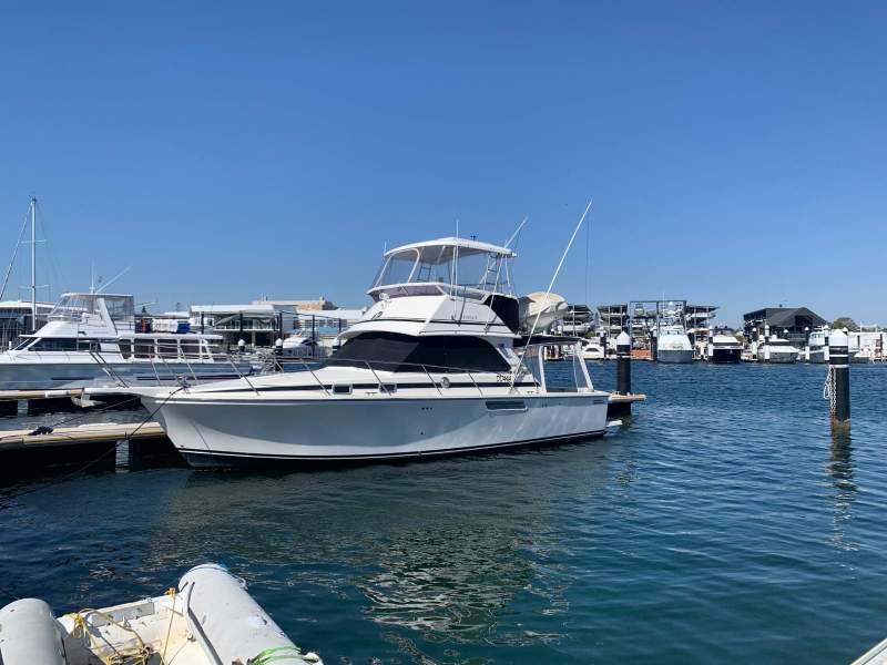 Bertram Caribbean 35 Sports Fisher Flybridge " ( Pen Available T. A. P)