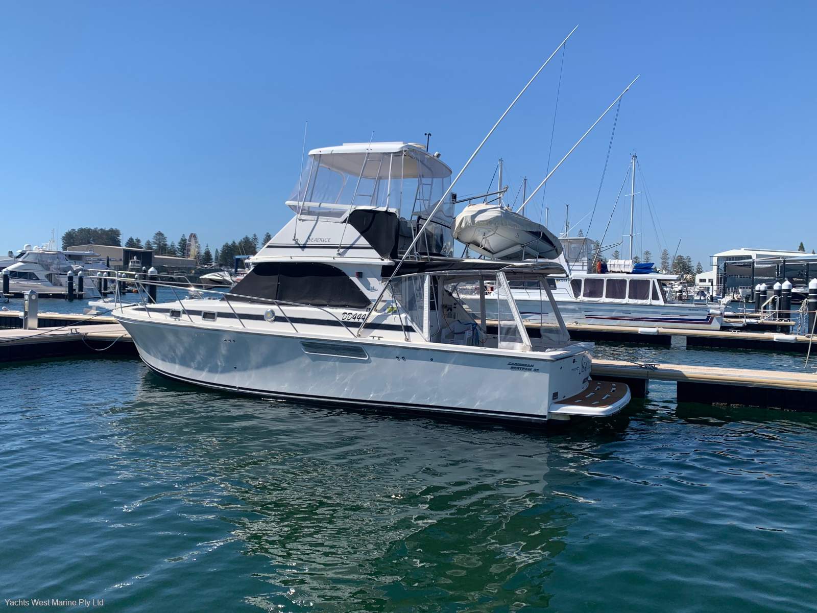 Bertram Caribbean 35 Sports Fisher Flybridge " ( Pen Available T. A. P)