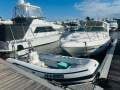 Riviera M290 Sports Cruiser