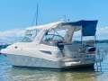 Riviera M290 Sports Cruiser