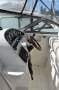 Mustang 3200LE Sportscruiser