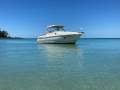 Sunrunner 3100 Sport Fisher Sunrunner 3100 SF Hard top