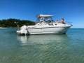 Sunrunner 3100 Sport Fisher Sunrunner 3100 SF Hard top