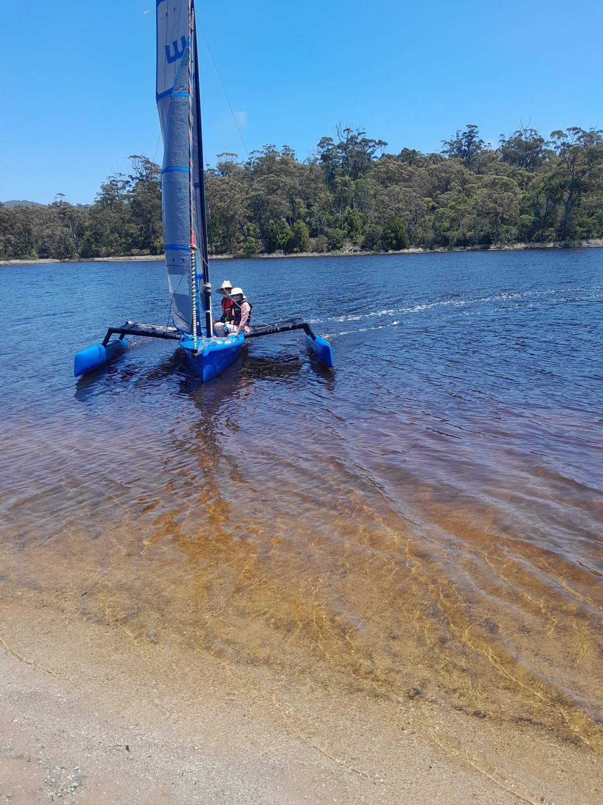 Weta Trimaran