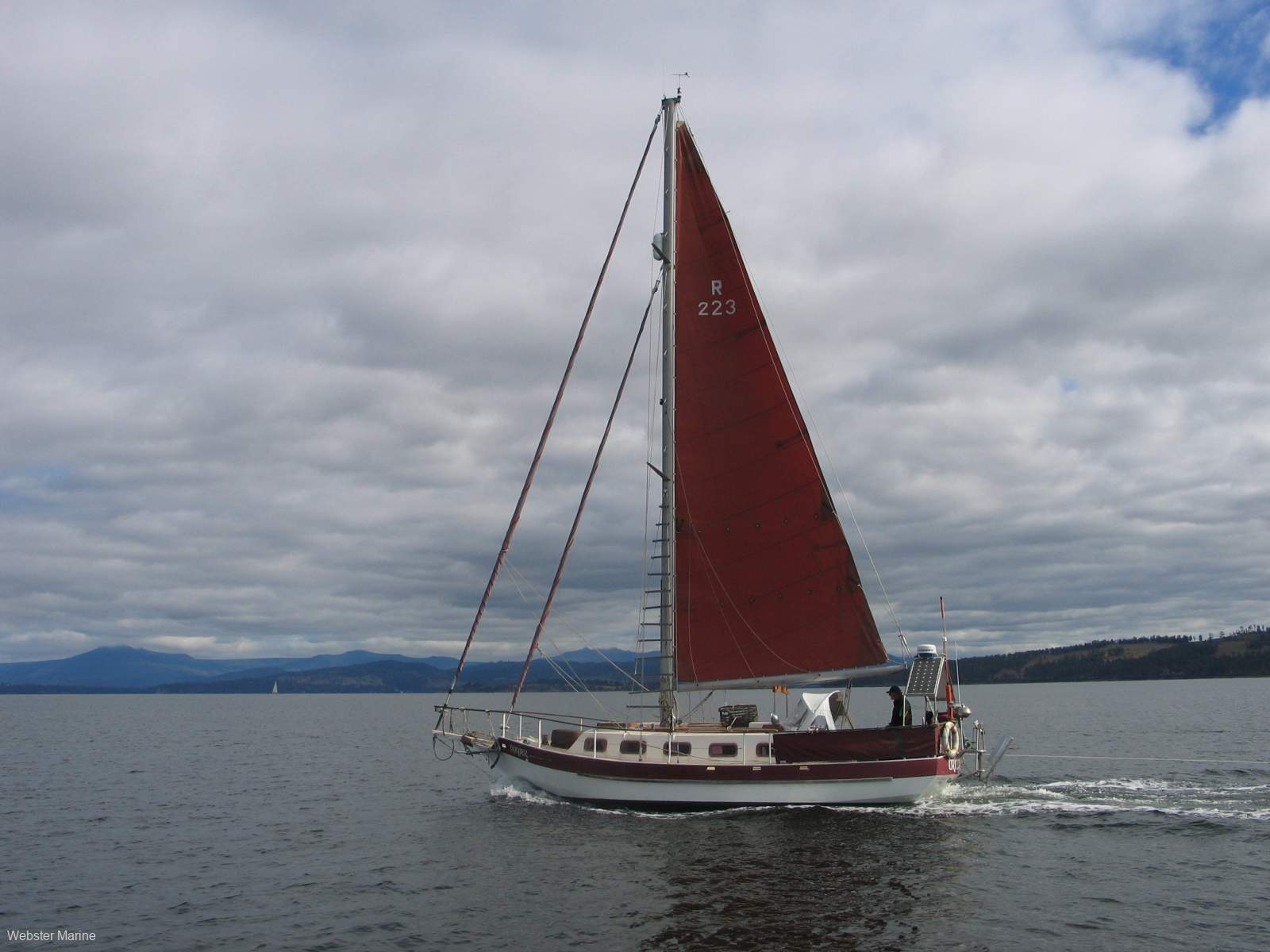 Roberts Spray 33