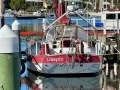 Roberts Spray 33