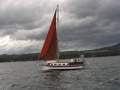 Roberts Spray 33