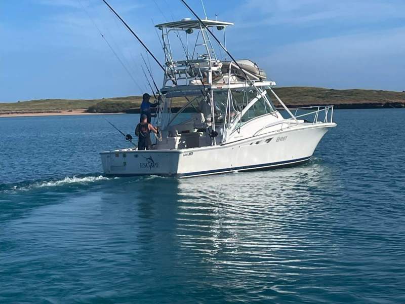 Luhrs 32 Open Express With Tower