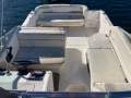 Sea Ray 250 Sundancer Fast Fun Mooring Possible (Sydney Harbour)