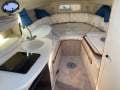 Sea Ray 250 Sundancer Fast Fun Mooring Possible (Sydney Harbour)