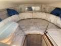 Sea Ray 250 Sundancer Fast Fun Mooring Possible (Sydney Harbour)