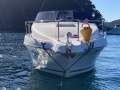 Sea Ray 250 Sundancer Fast Fun Mooring Possible (Sydney Harbour)