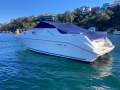 Sea Ray 250 Sundancer Fast Fun Mooring Possible (Sydney Harbour)