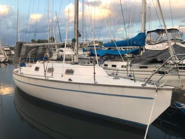 Mottle 33 Mark 1
