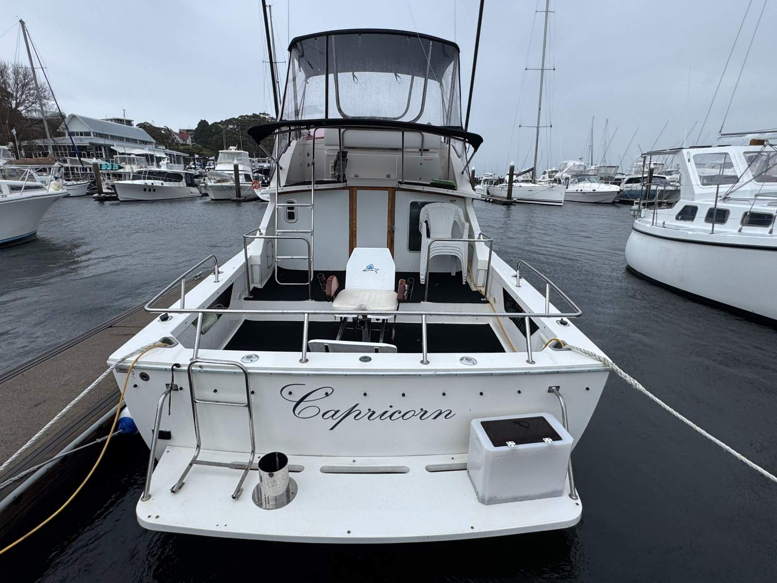 Bertram Caribbean 28 Flybridge