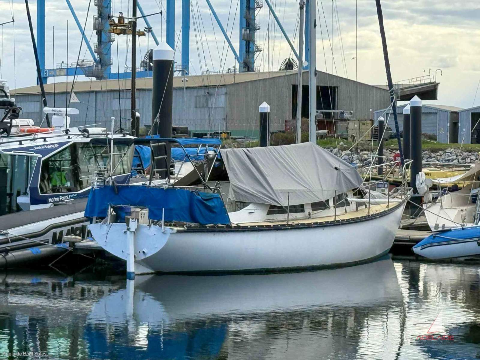 Hartley 34 Aucklander