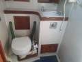 Salar 40